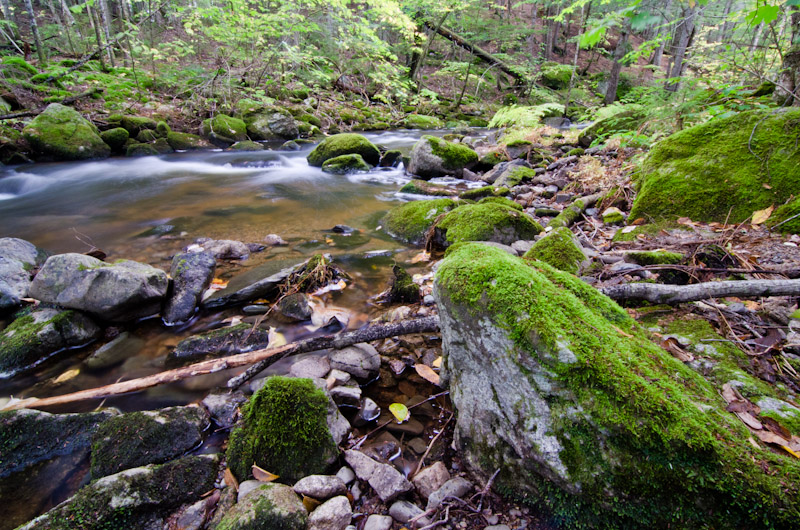20111005-D7K_0521.jpg