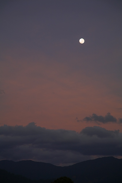 Cairns moonshine