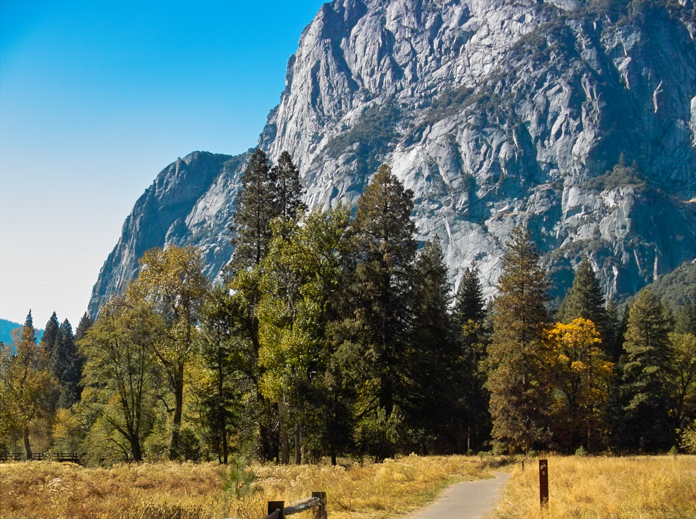 PIMG0988.jpg Yosemite meadow