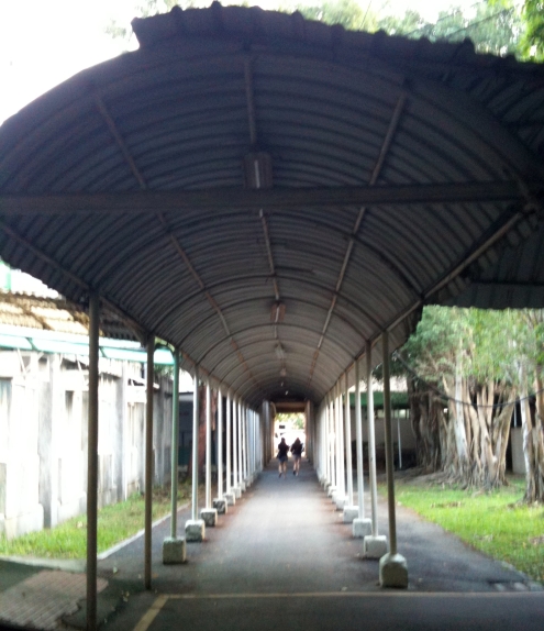 BackYard of Sungshan Hospital