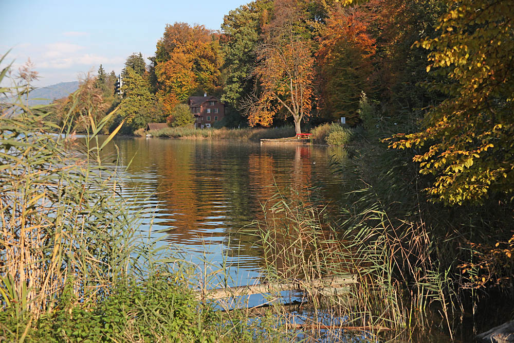 along the the small lake Rotsee