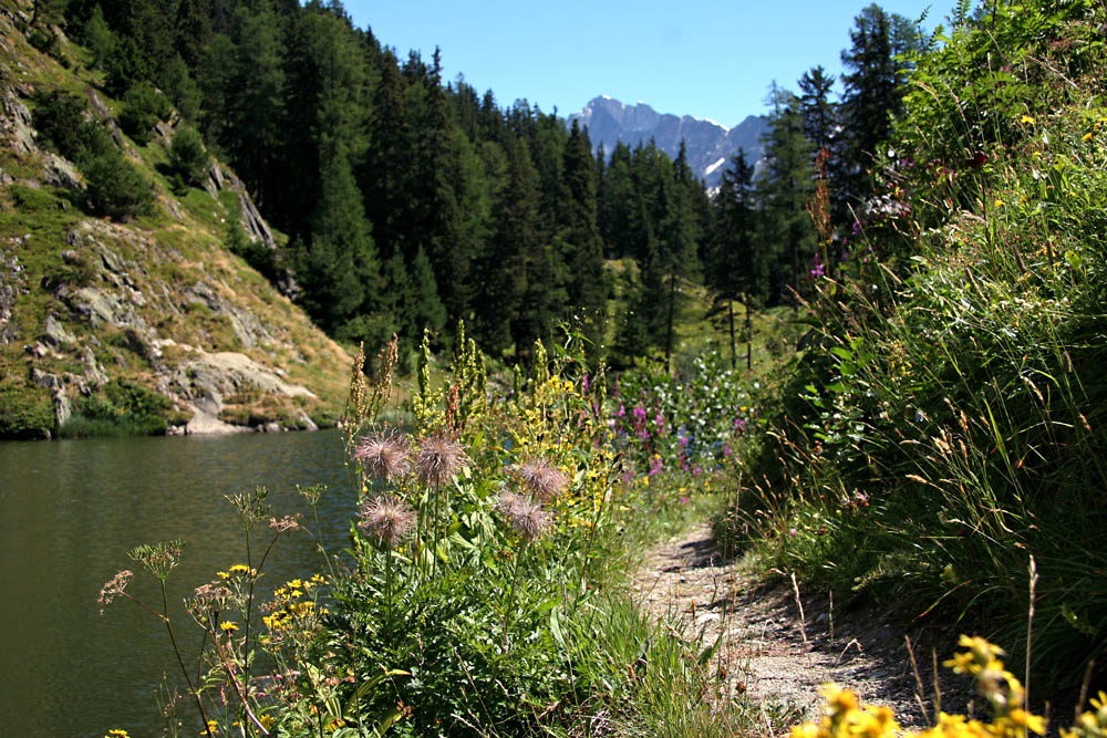 Hiking way in Vallais