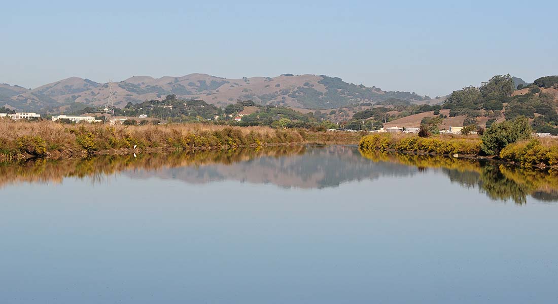 Looking Back Over Pond