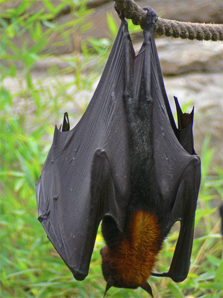 Hanging Around