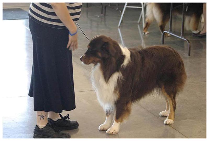 slinger at nationals pre show.jpg