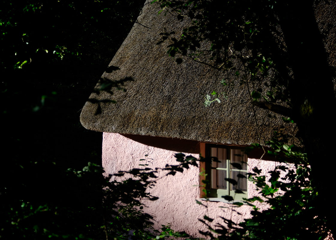 cottage in Peppercombe valley