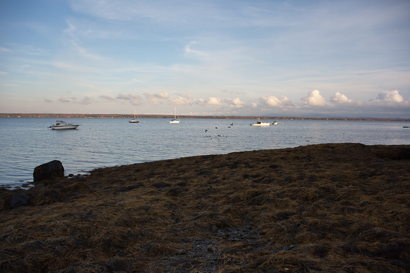 Late Afternoon at the Beach #2