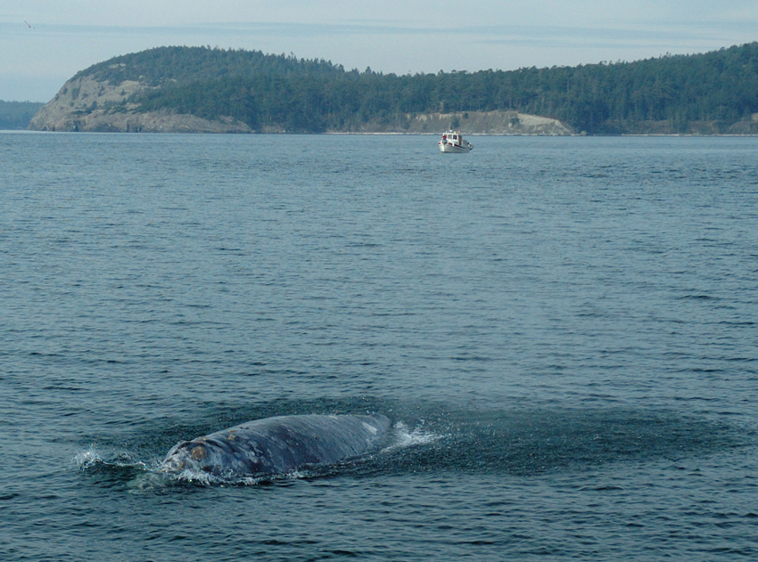 Freddie approaches our boat