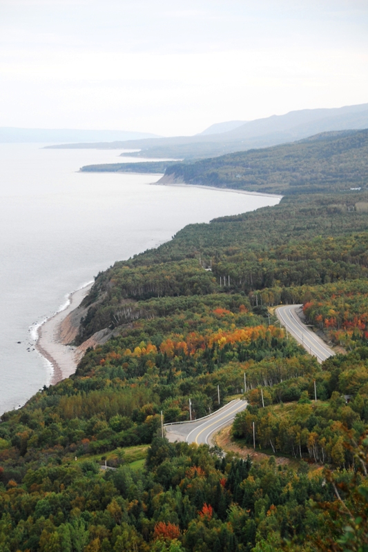 forested plateau Cabot trail DSC_1051.JPG