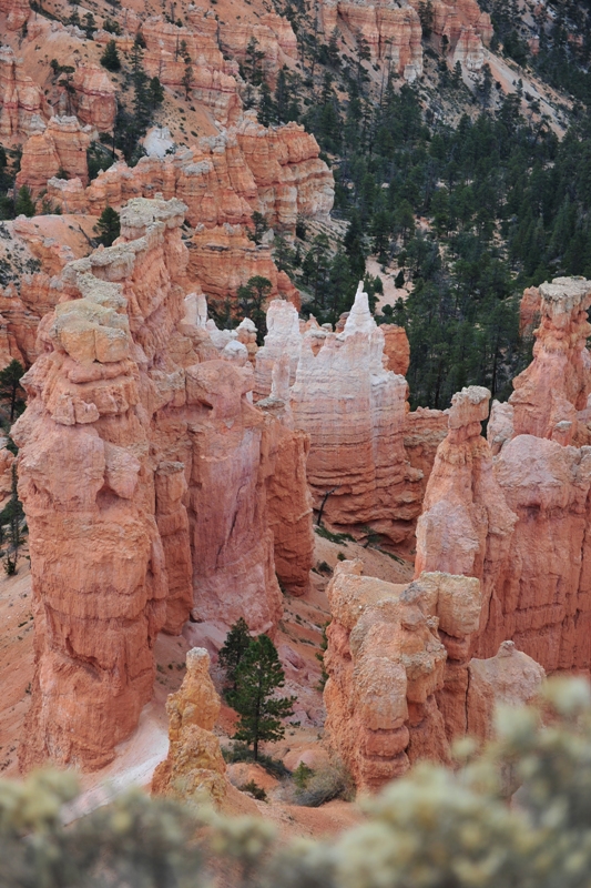DSC_8613.JPG