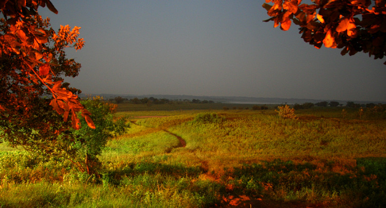 Moonlight and Madness on the Laguna de Amazonas  *  Traveller