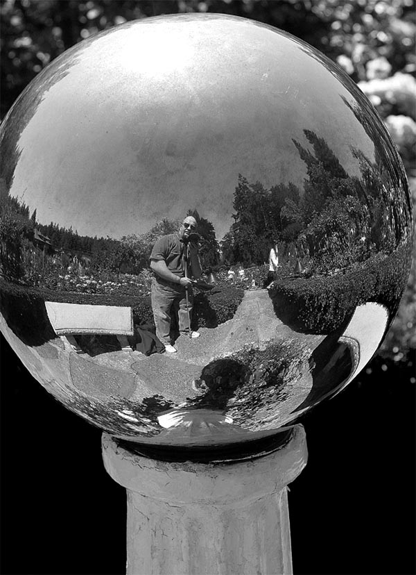 Silver Ball - 2