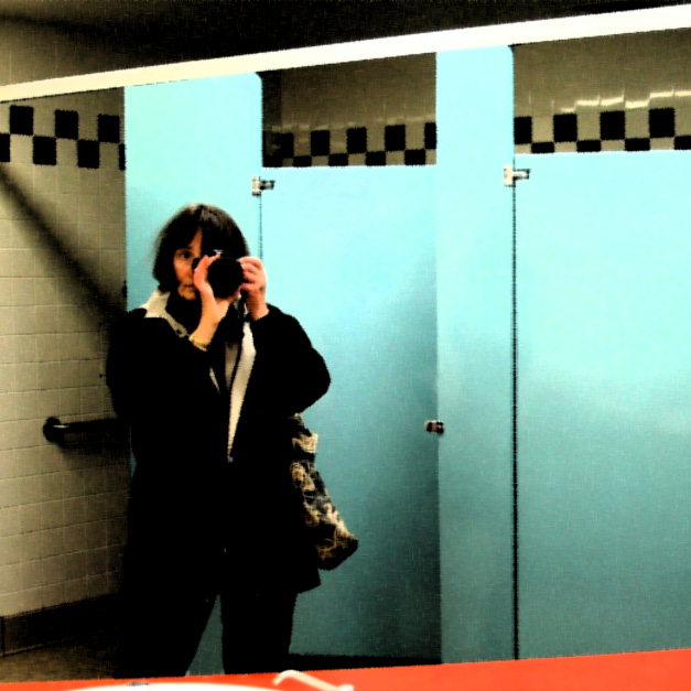 In the Loo