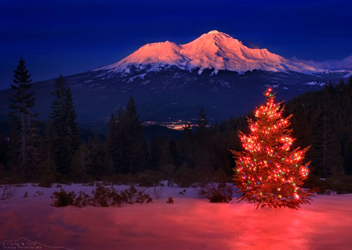<b>5th Place</b><br>December* <br>by CindyD
