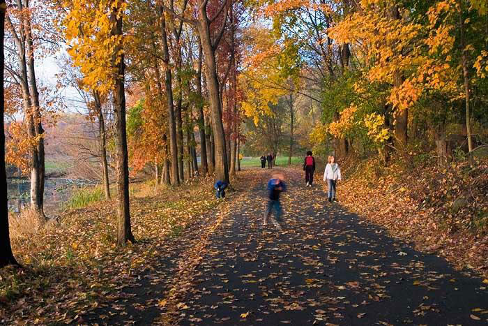 Autumnal Stroll
