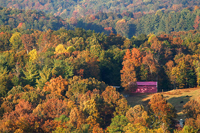 Appalacian Fall