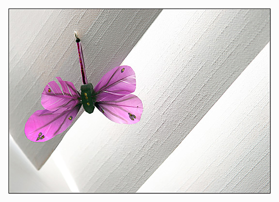 <b>9th Place</b><br>Madam Butterfly *<br>by shu