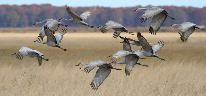 <b>1st Place</b><br>Oct: Heading South<br>by davev
