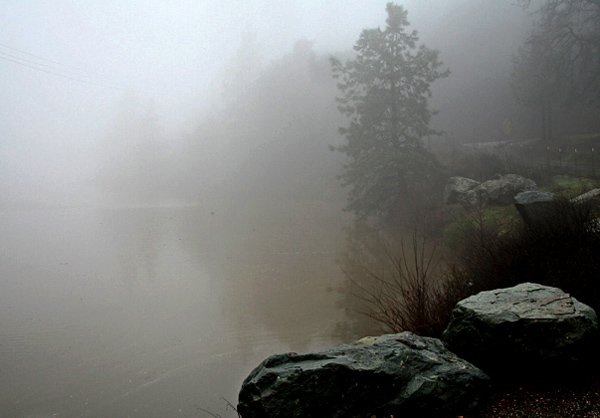 February  Foggy Day