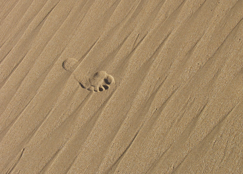 Summer, Seaside & Sand