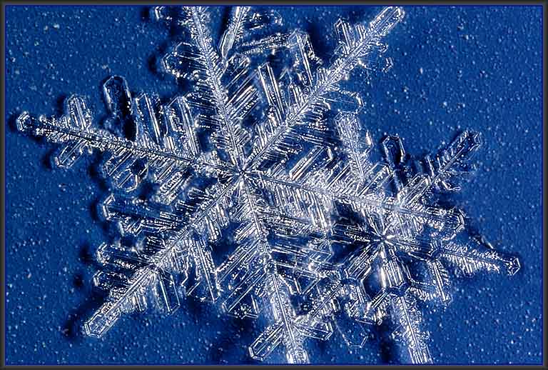 <b>9th Place</b><br>Winter<br>by Jim H.