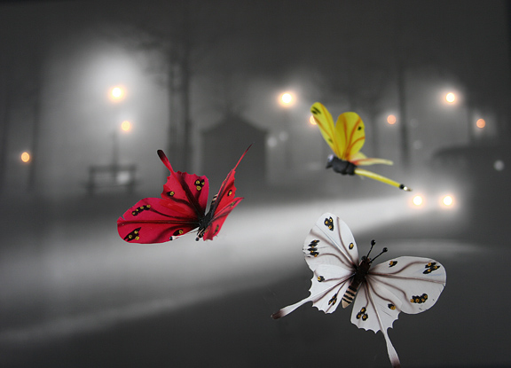 Night Flight *