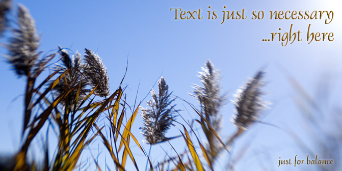 Necessary Text