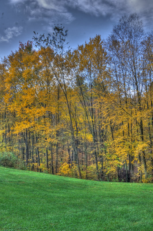 hdr309.jpg