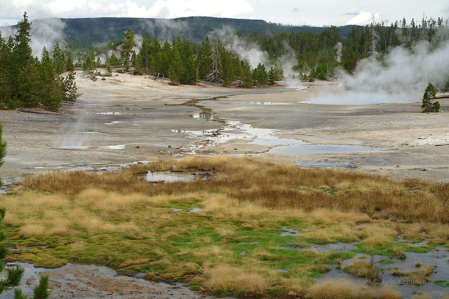 YellowStone10.jpg