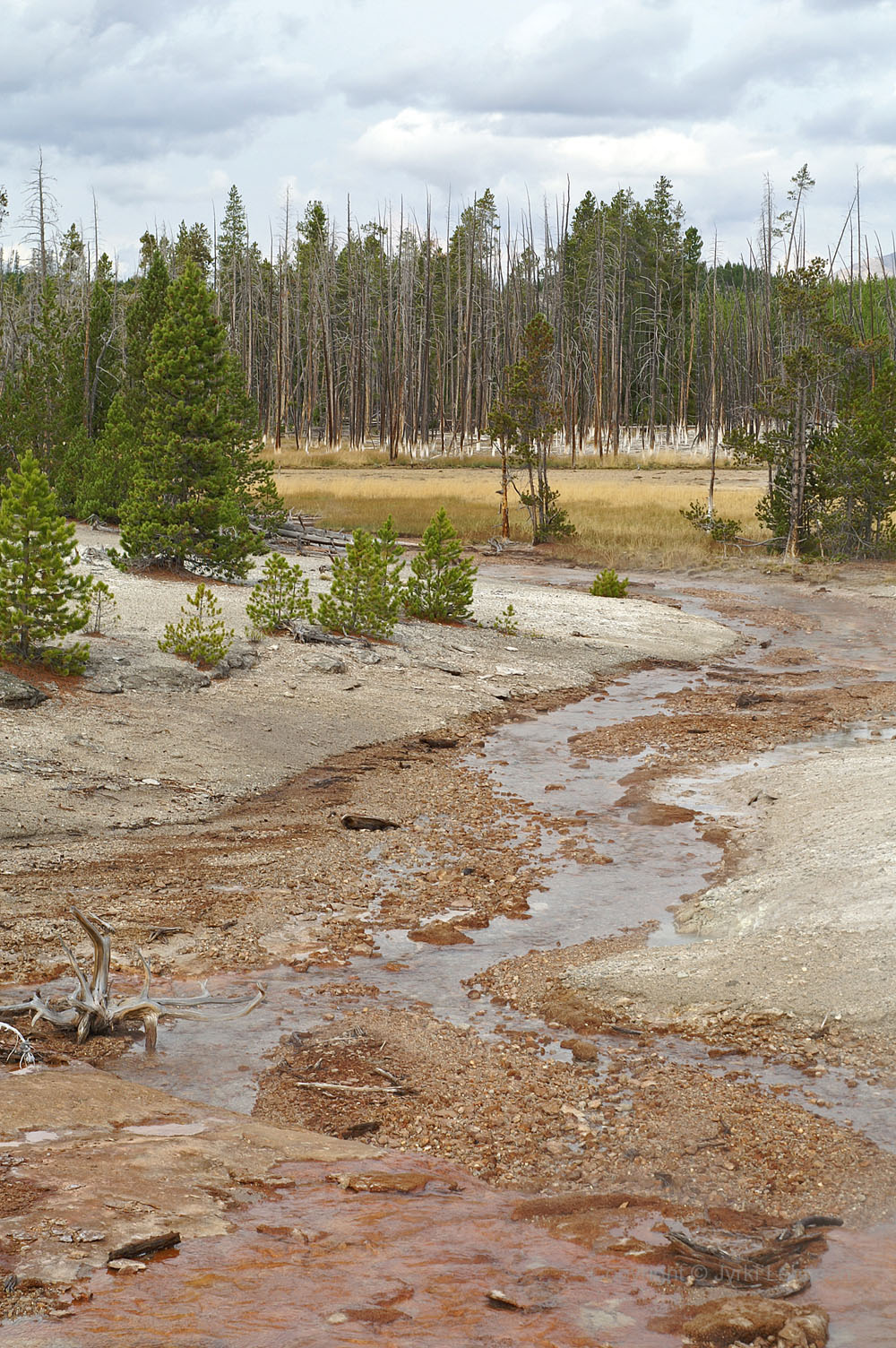 YellowStone11.jpg