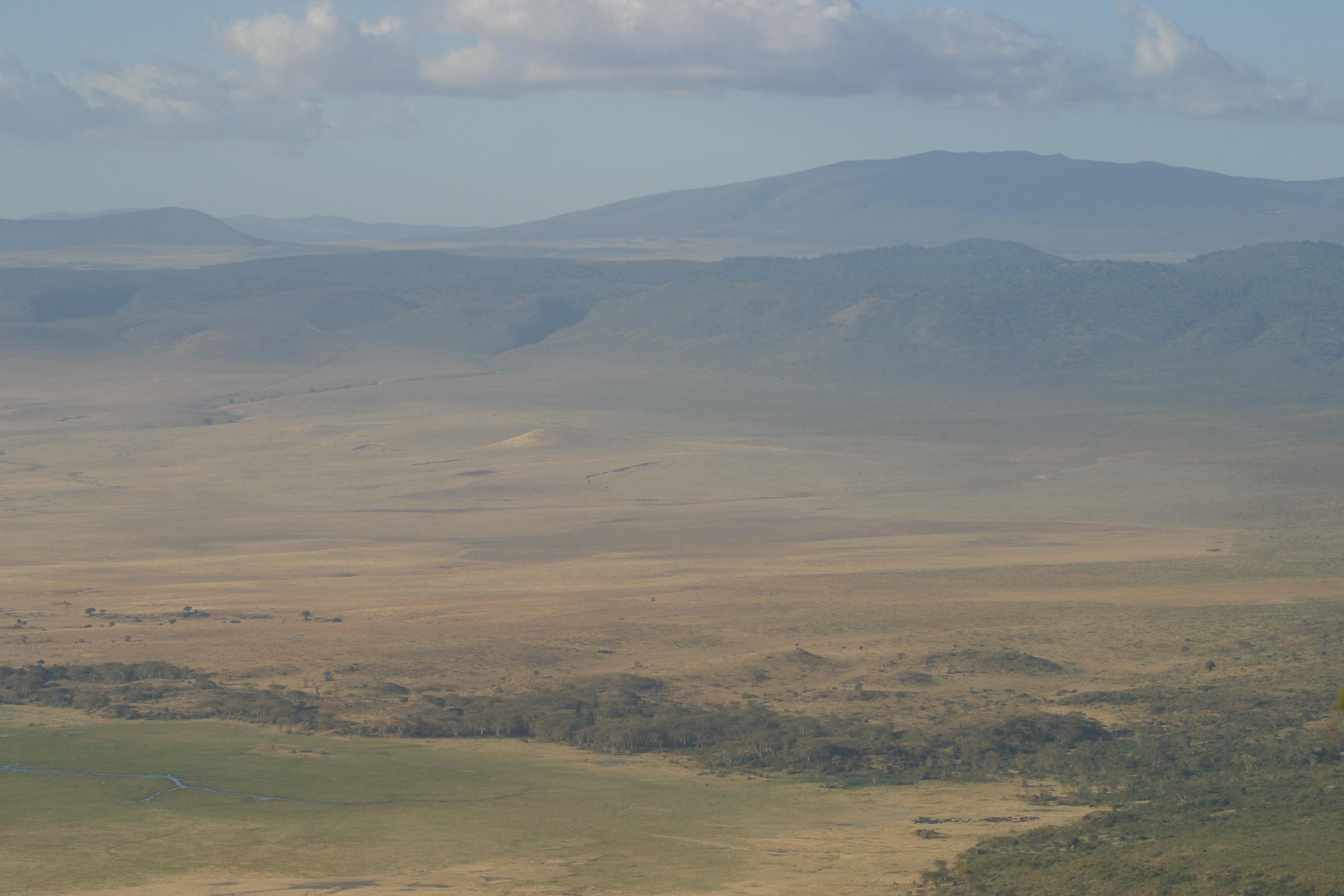 Ngorongoro Game Preserve - Tanzania