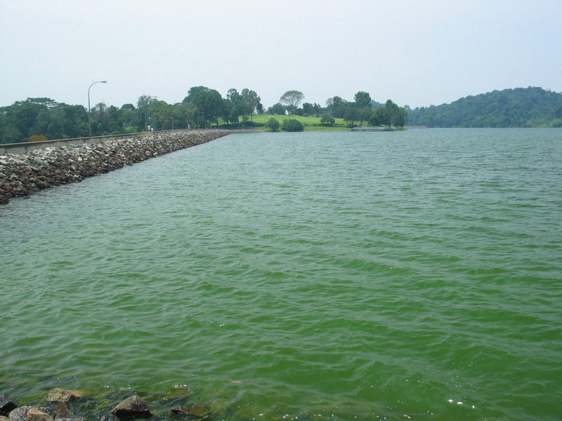 This is the water we may drink