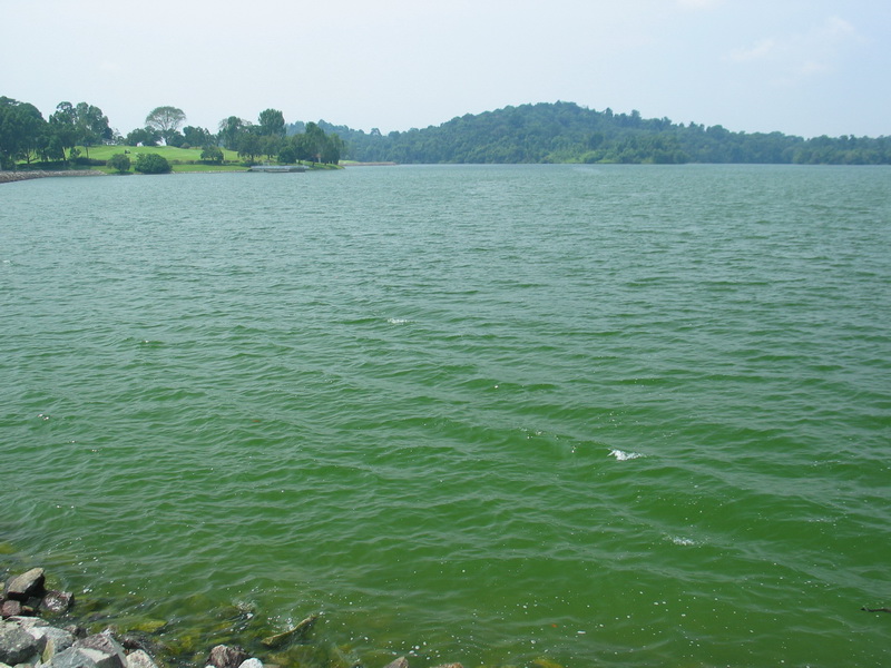 Upper Peirce Reservoir