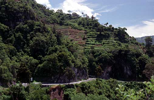 Agricultural Terraces