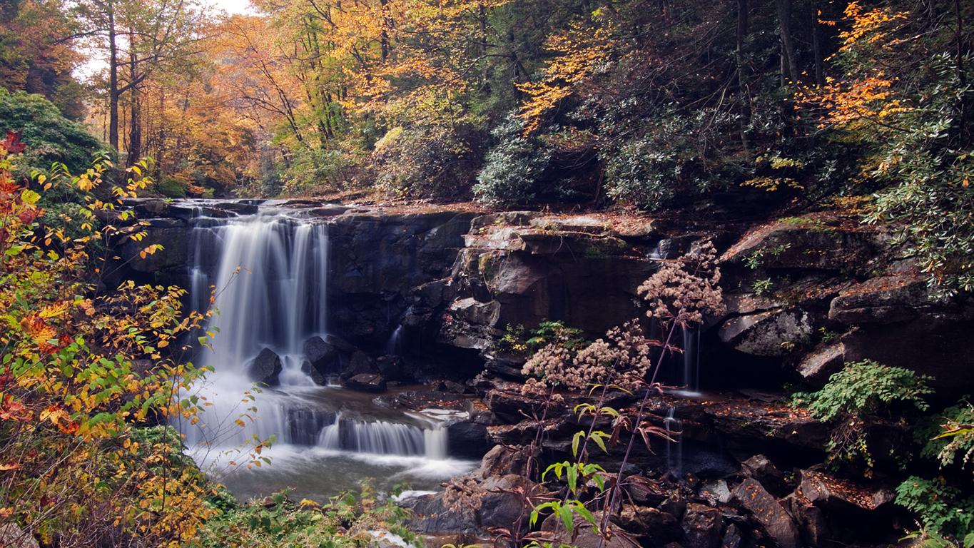 Laurel Creek Falls