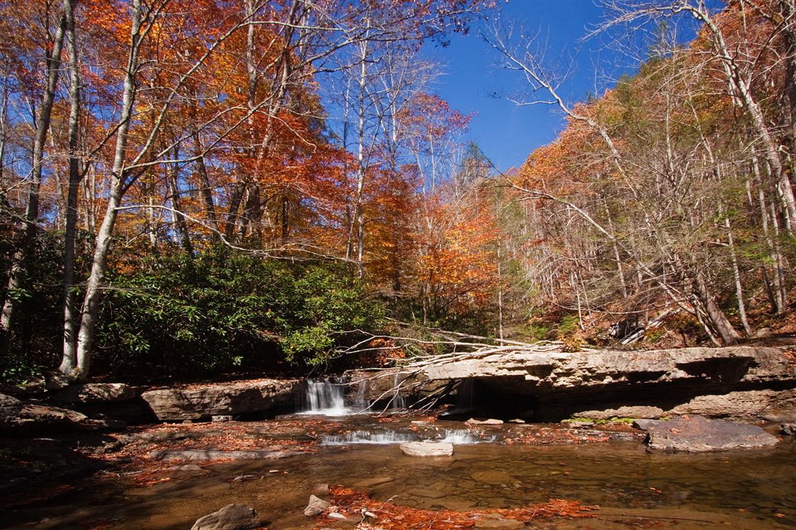 Mash Fork Falls