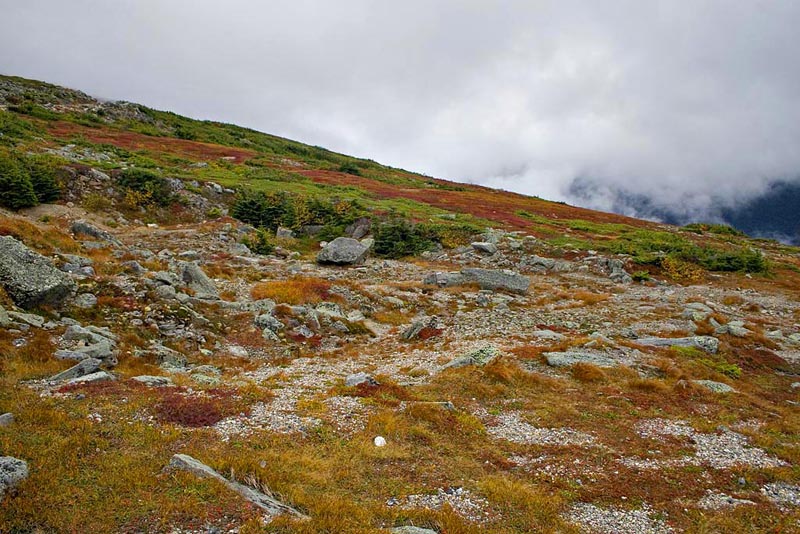  Mt Washington