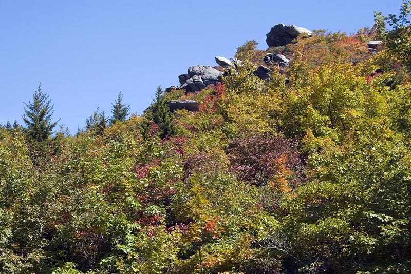  Blue Ridge Parkway 3