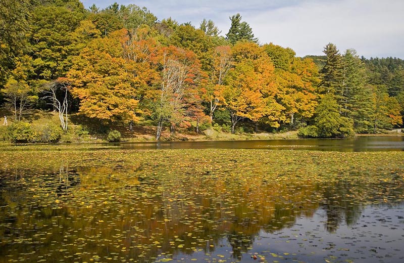 Bass Lake