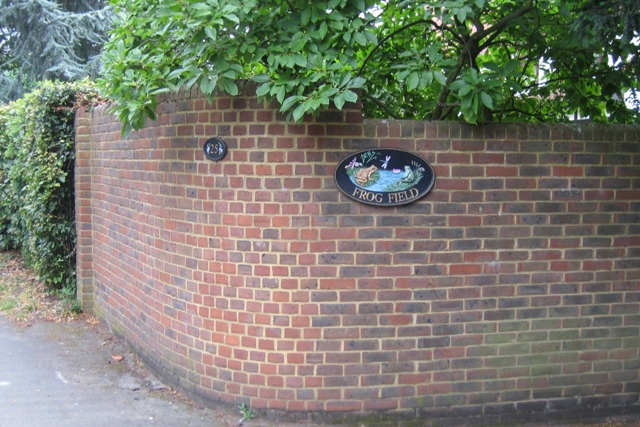 frog field - wall