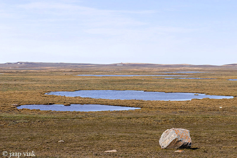 Tundra with lakes - Toendra met meren