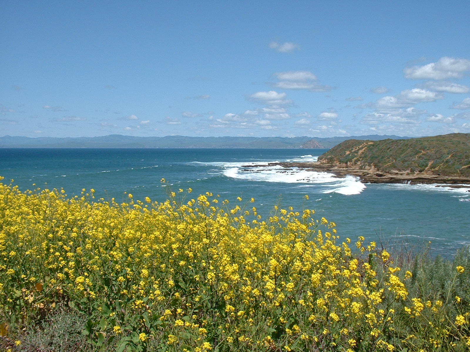 DSCF0006.JPG