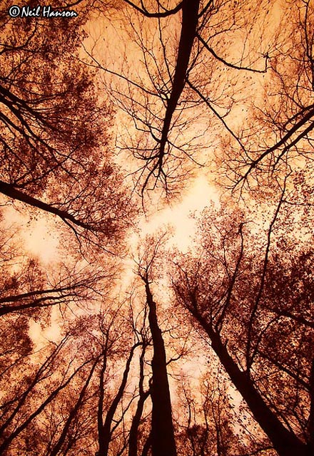Convergence