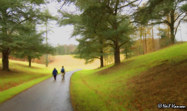 A Walk in the Park