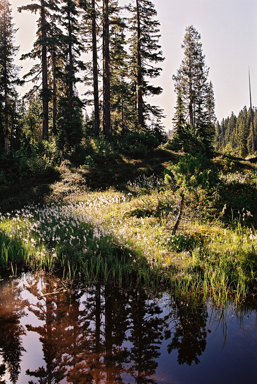 Strathcona Provincial Park