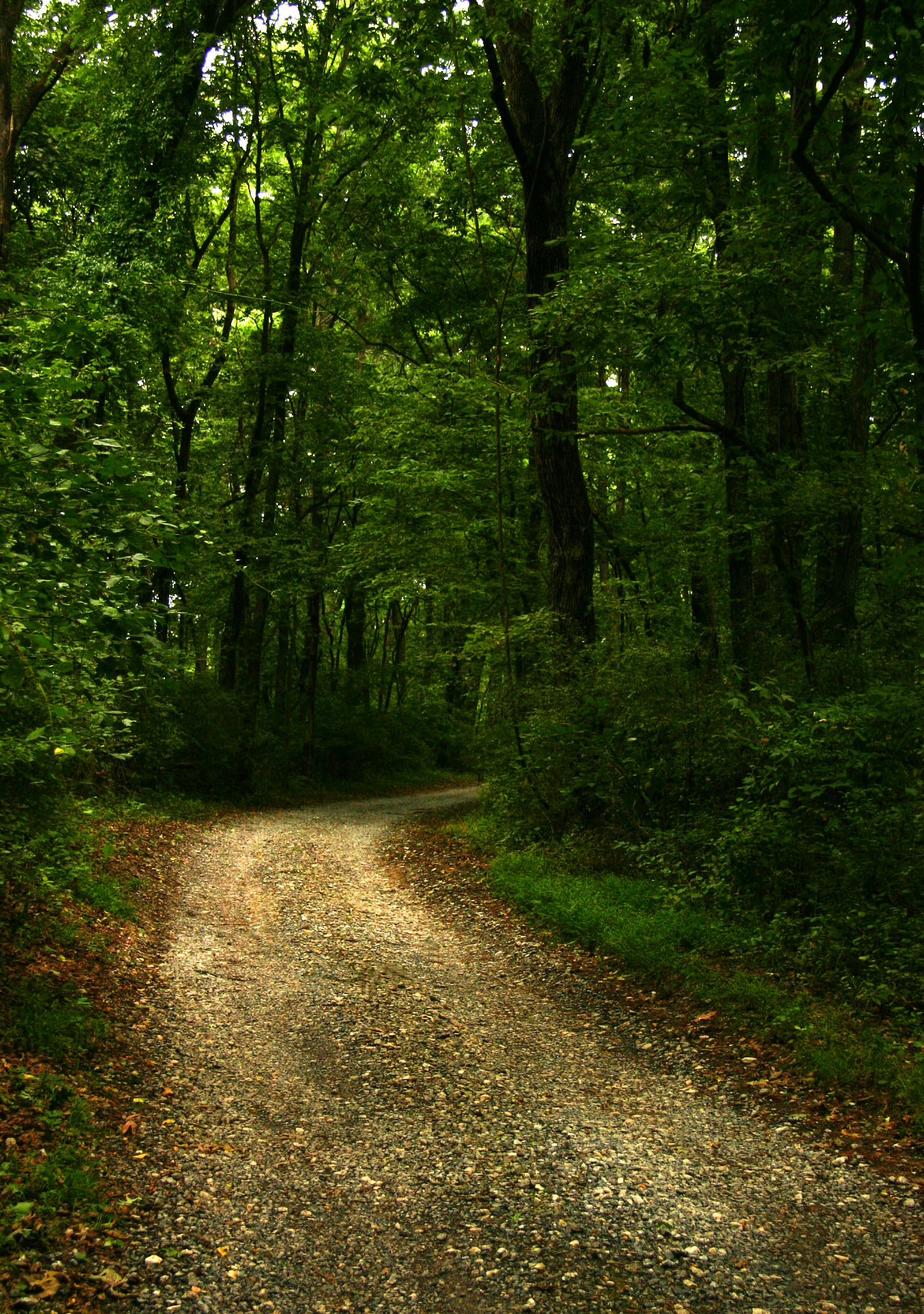 The Road to Blandy.