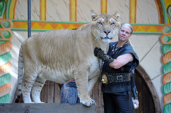 20101002 - King Richards Faire - 100.jpg