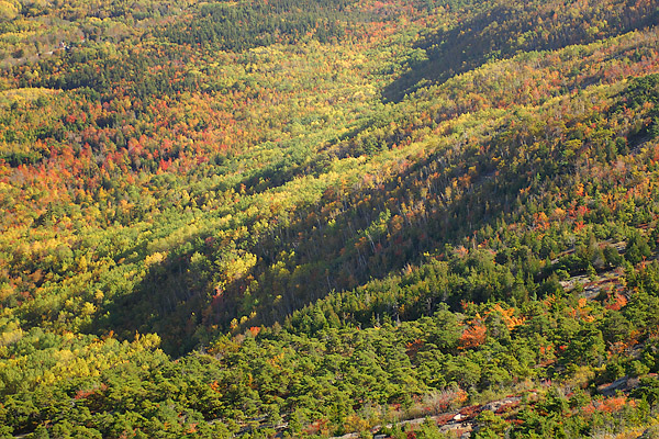 20061007 - Maine - 086.jpg