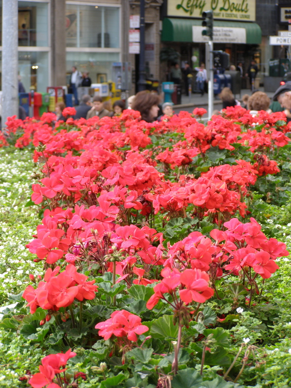 PA160061.jpg