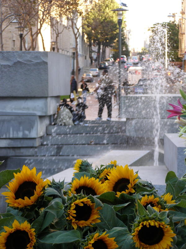 Civic Center